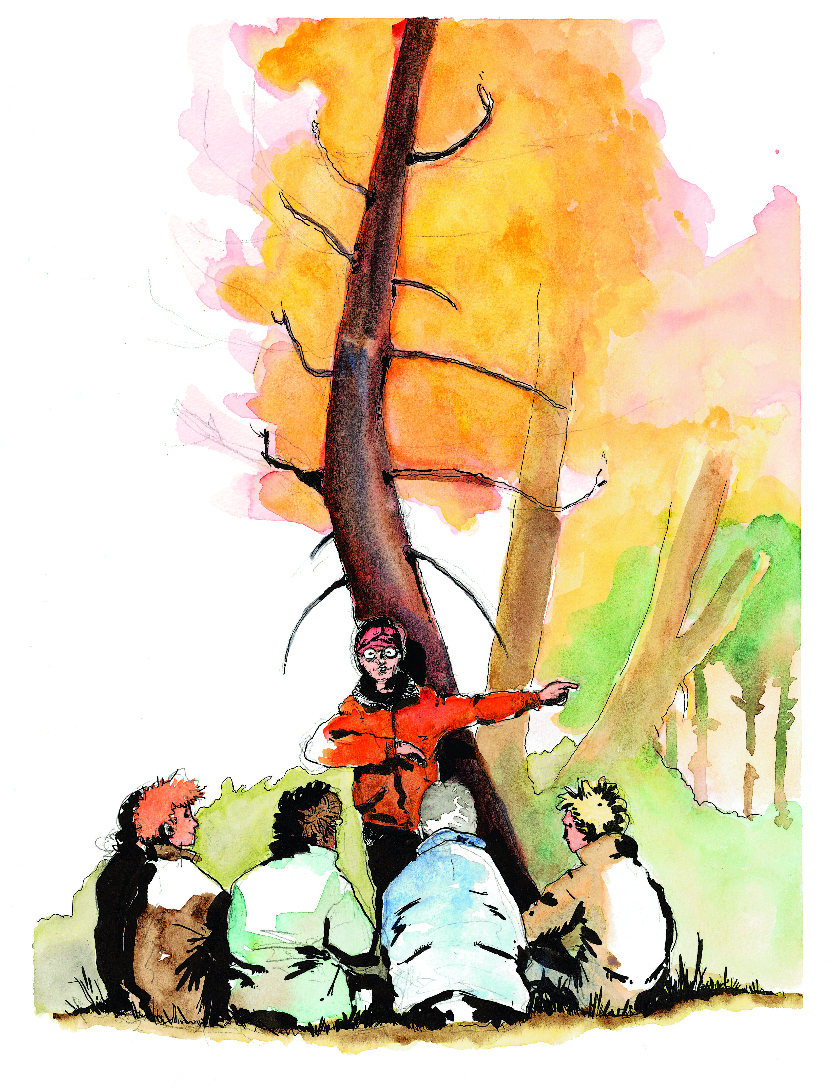 Illustrations forets et hommes
