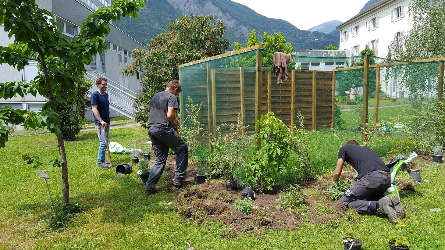 Plantation d’espèces mellifères aux abords du rucher par les élèves du lycée horticole (LEGTa) Grenoble - St Ismier