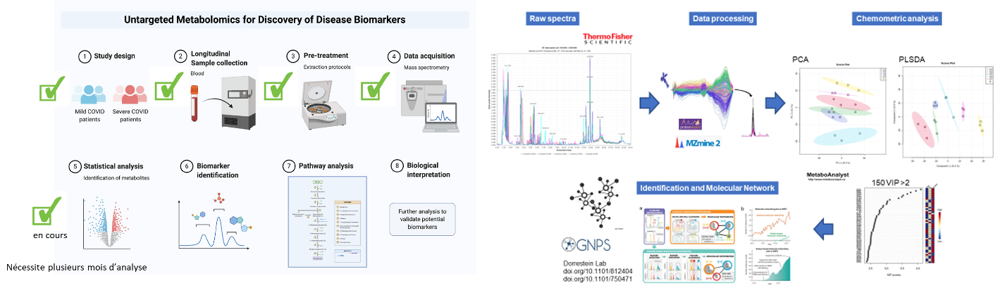 Figure 4 : Etude métabolomique en cours pour 123 patients hospitalisés. Les analyses statistiques préliminaires font apparaître la capacité d’une signature métabolique à classer correctement les patients selon la sévérité ultérieure de la maladie (à droit