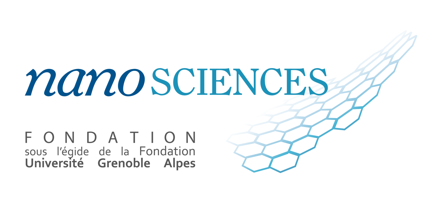 Fondation Nanosciences logo actu