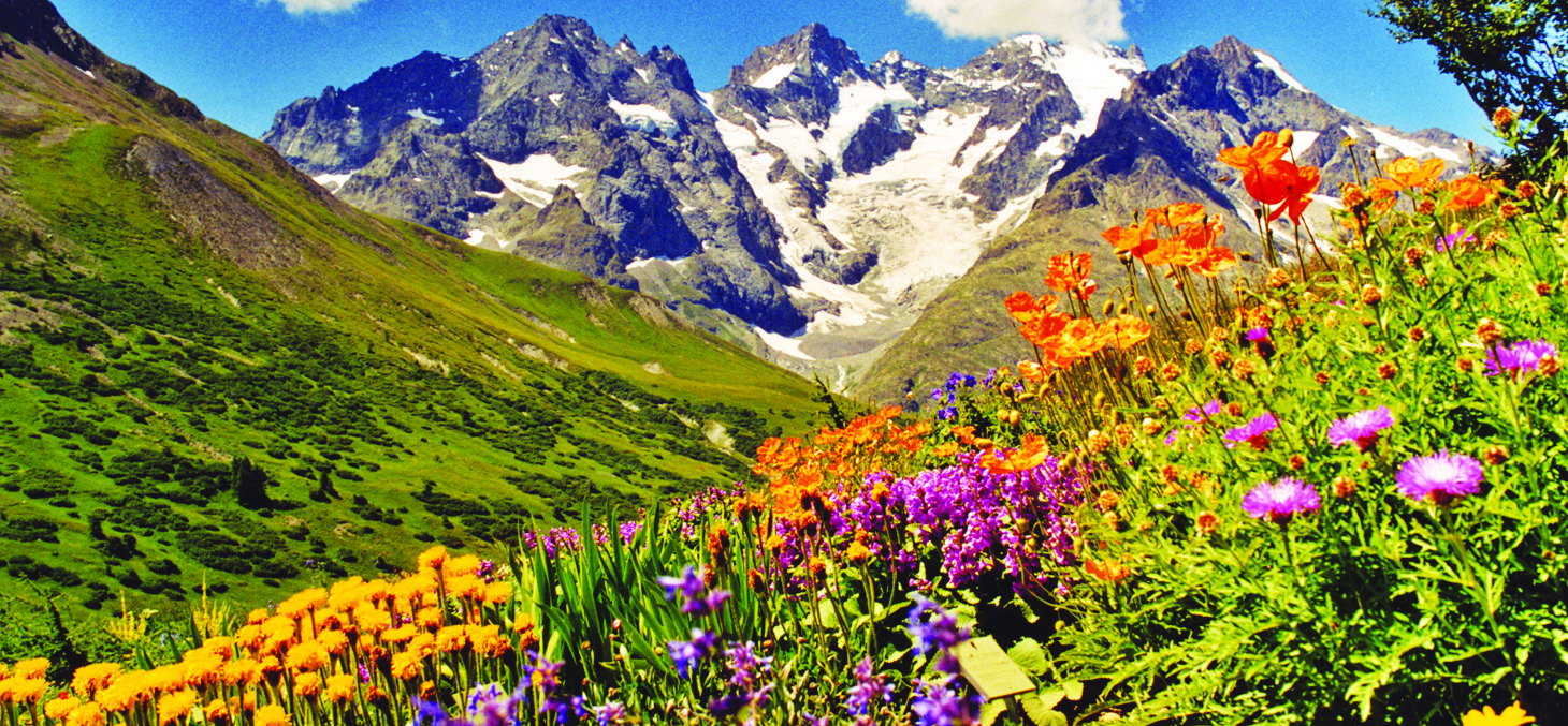 jardin botanique alpin du lautaret