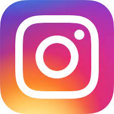 LOGO INSTA