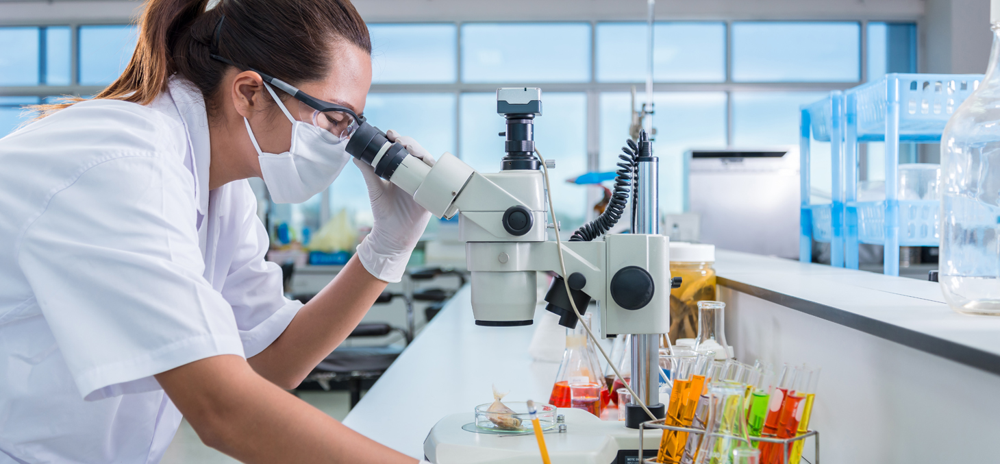 recherche pluridisciplinaire vignette
